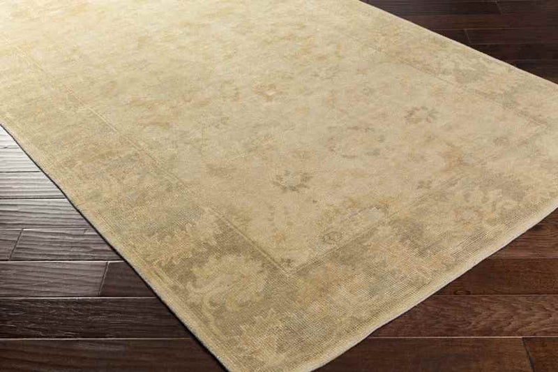 Halesowen Traditional Beige Area Rug