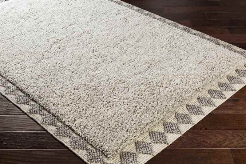 Horwich Modern Taupe Area Rug