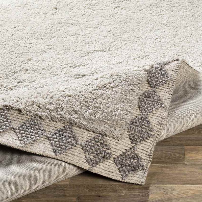 Horwich Modern Taupe Area Rug