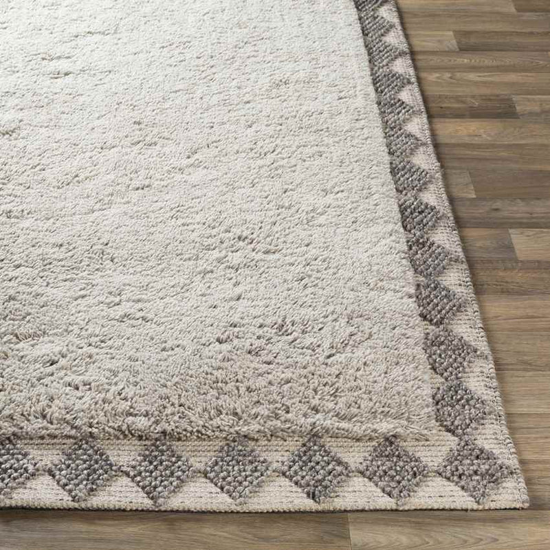 Horwich Modern Taupe Area Rug