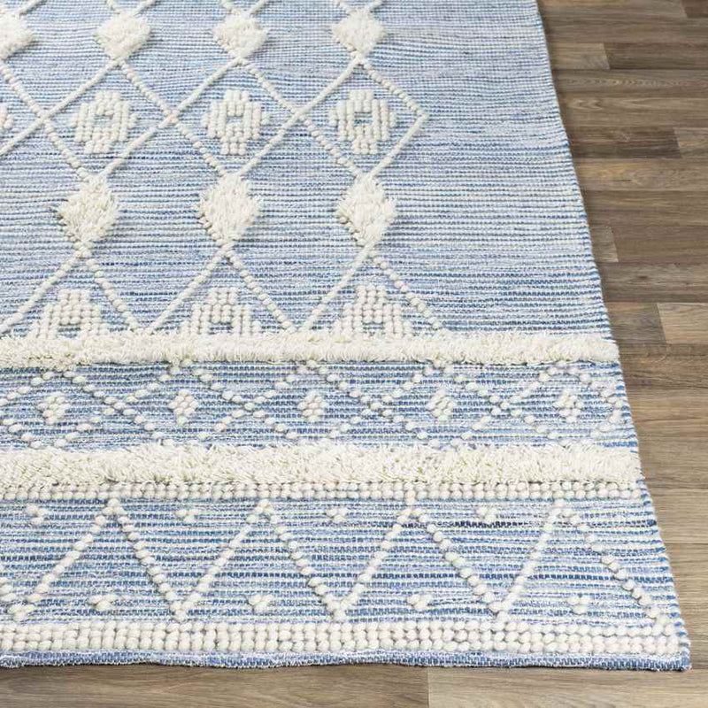 Loddon Global Sky Blue Area Rug