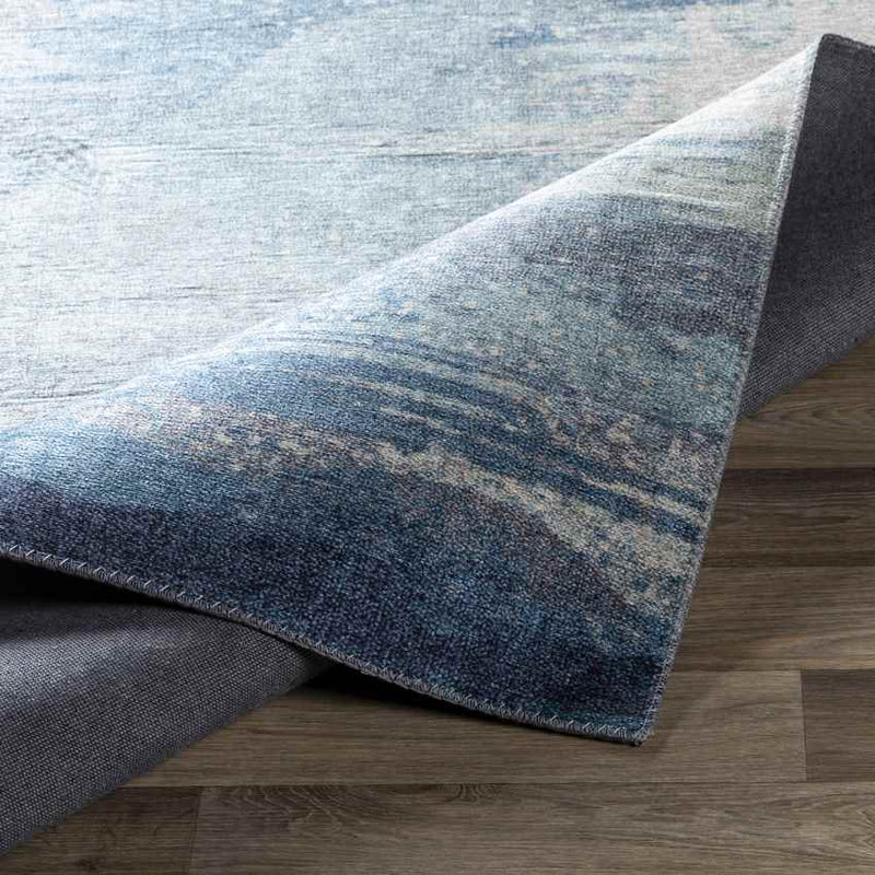 Rayleigh Modern Aqua Area Rug