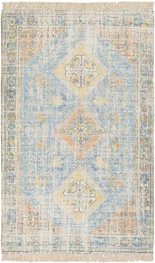 Sandown Traditional Sky Blue Area Rug