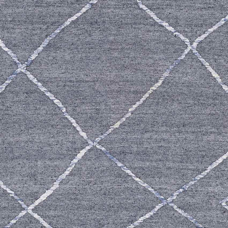 Cornwall Global Navy/White Area Rug