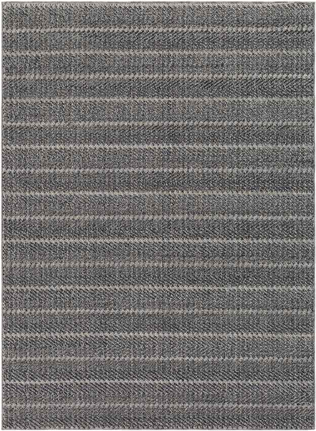 Thaxted Global Medium Gray Area Rug