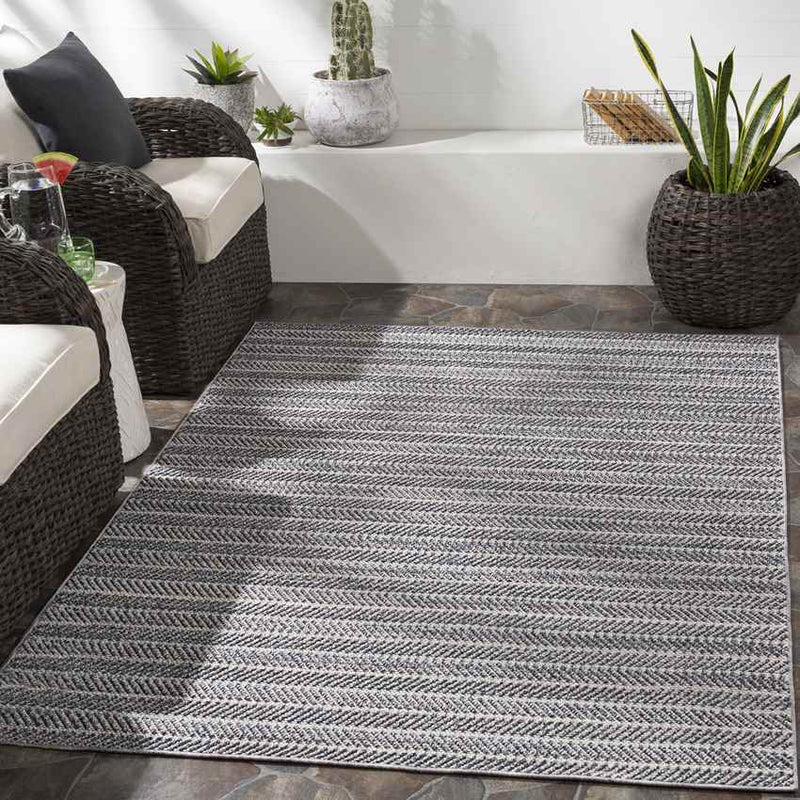 Thaxted Global Medium Gray Area Rug