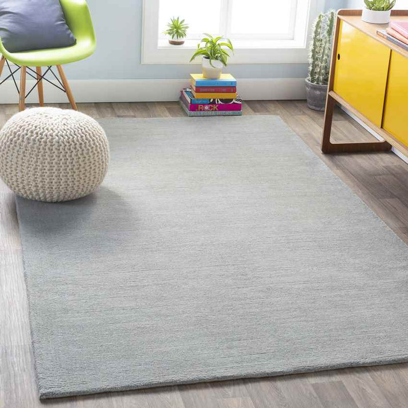 Rennes Modern Medium Gray Area Rug