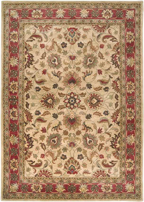 Paris Traditional Camel Area Rug