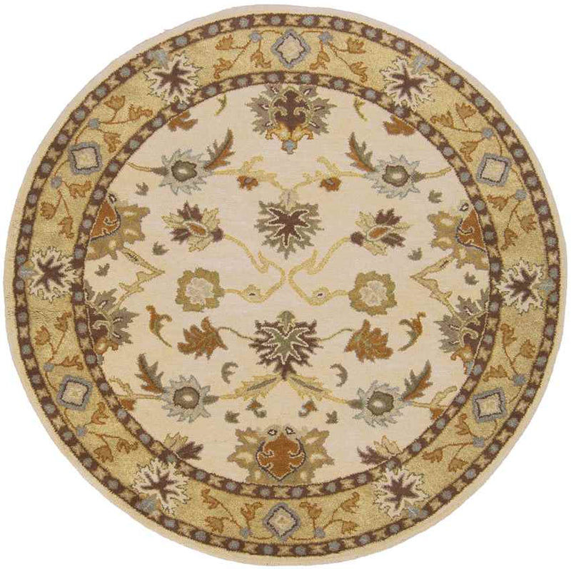 Didsbury Traditional Khaki Area Rug