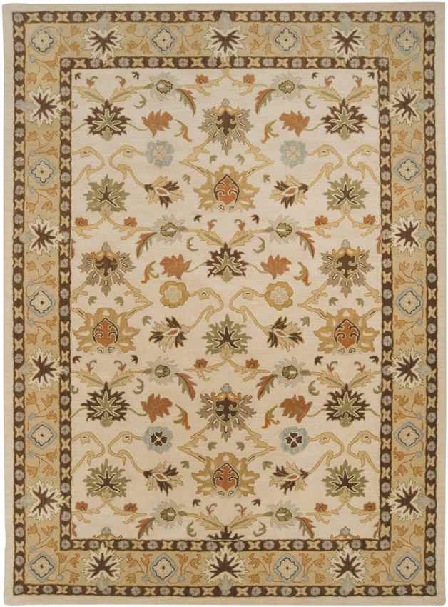 Didsbury Traditional Khaki Area Rug