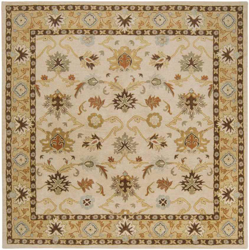 Didsbury Traditional Khaki Area Rug