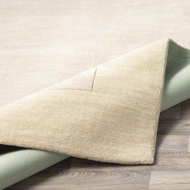 Reims Modern Khaki Area Rug