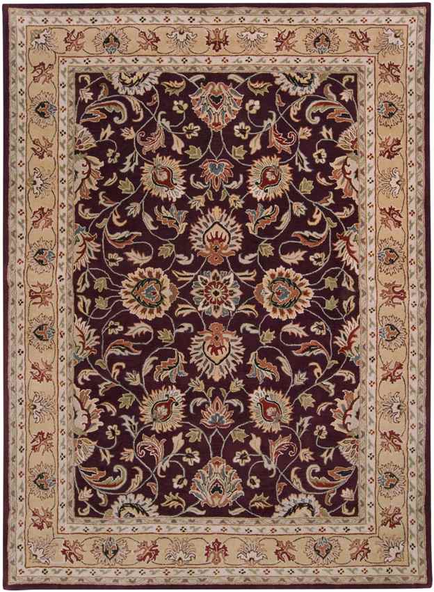 Paris Traditional Burgundy Area Rug