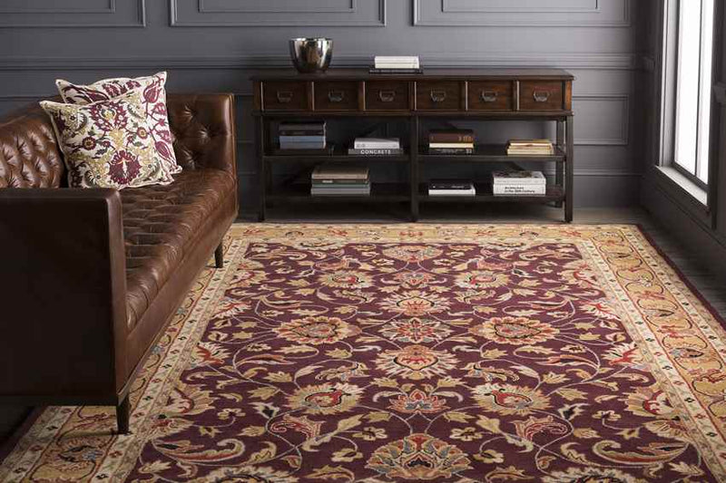 Paris Traditional Burgundy Area Rug