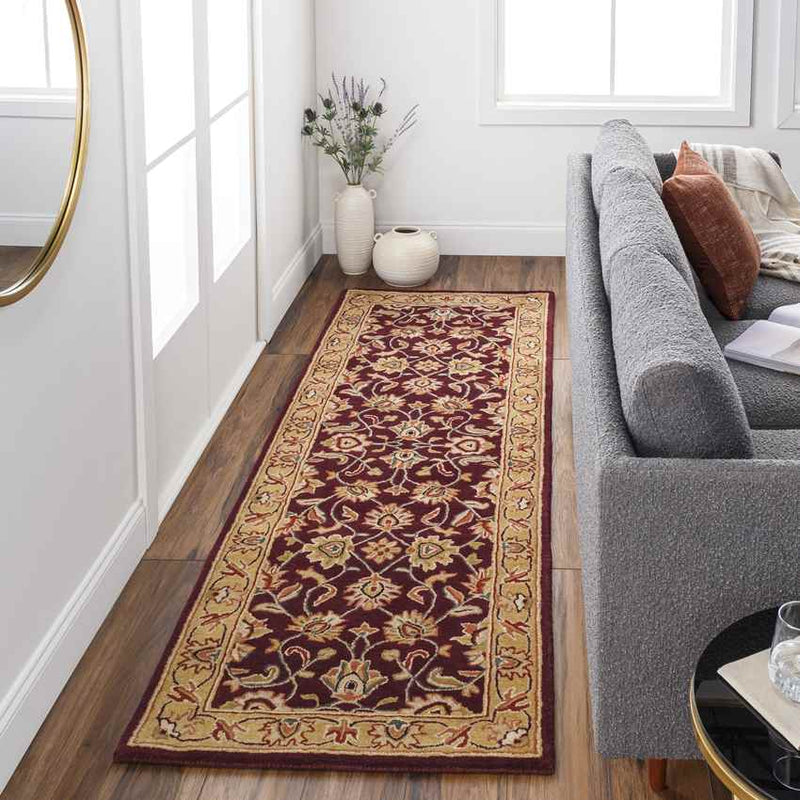 Paris Traditional Burgundy Area Rug