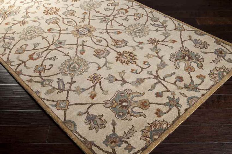 Two Hills Traditional Khaki Area Rug