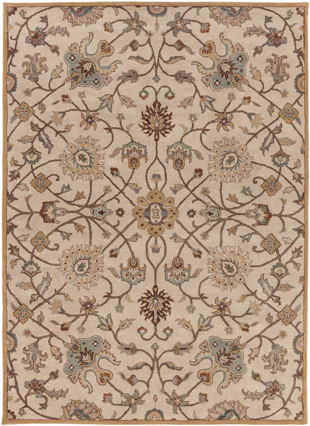 Two Hills Traditional Khaki Area Rug