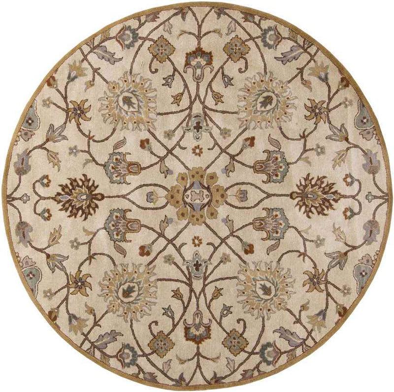 Two Hills Traditional Khaki Area Rug