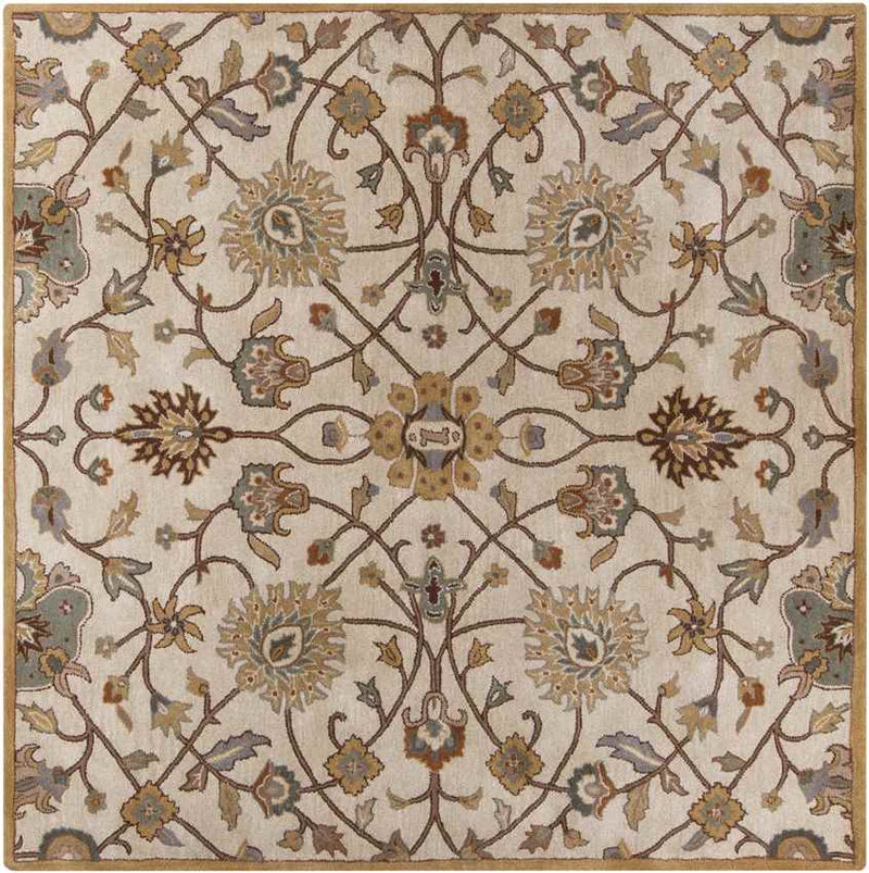 Two Hills Traditional Khaki Area Rug