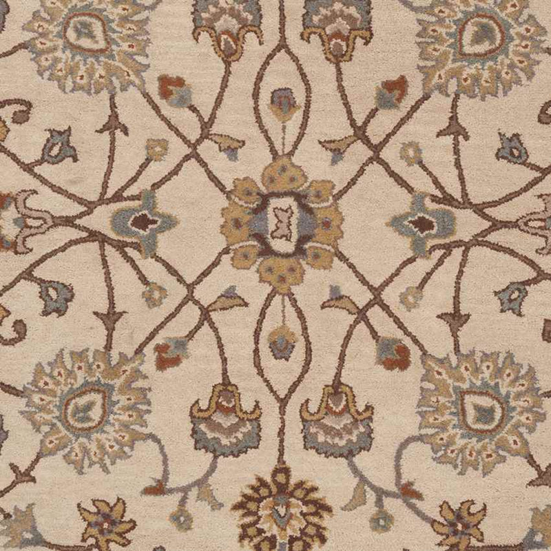 Two Hills Traditional Khaki Area Rug