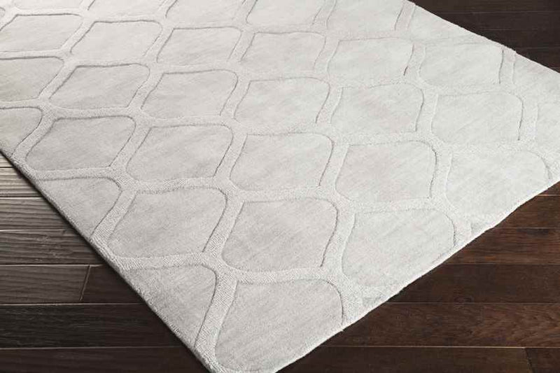 Vulcan Modern Medium Gray Area Rug