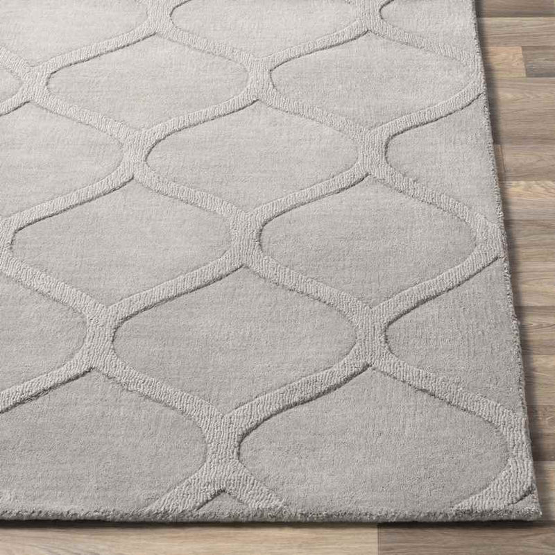 Vulcan Modern Medium Gray Area Rug