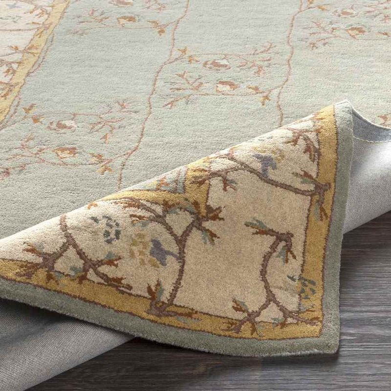 Golden Traditional Sage Area Rug