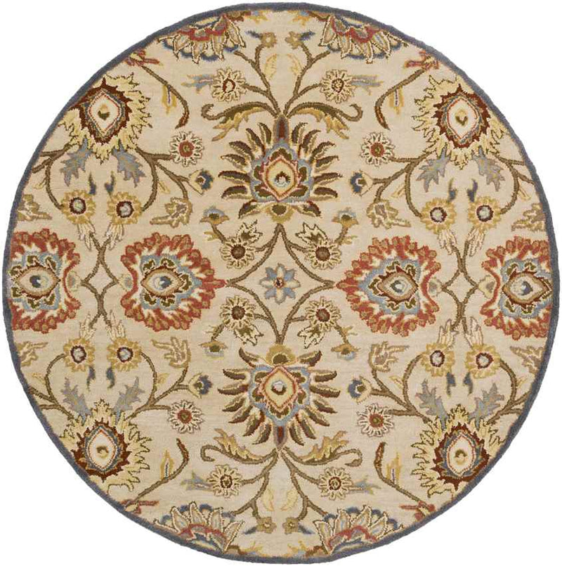 Eckville Traditional Ivory Area Rug