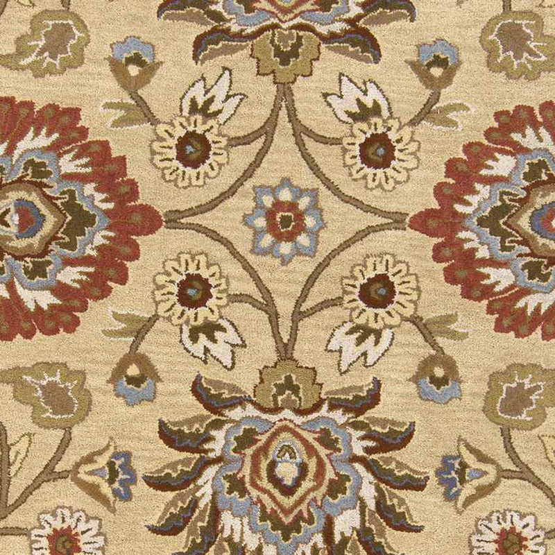 Eckville Traditional Ivory Area Rug