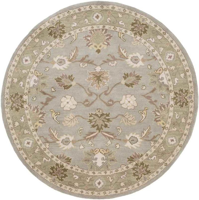 Didsbury Traditional Medium Gray Area Rug