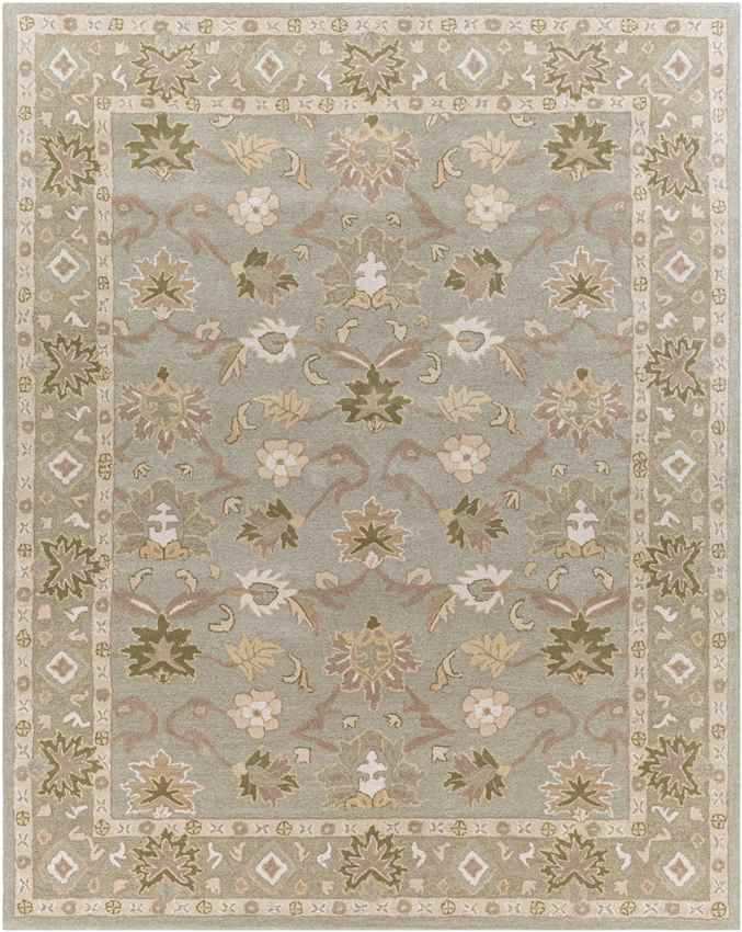 Didsbury Traditional Medium Gray Area Rug