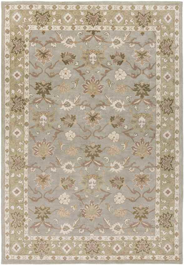 Didsbury Traditional Medium Gray Area Rug