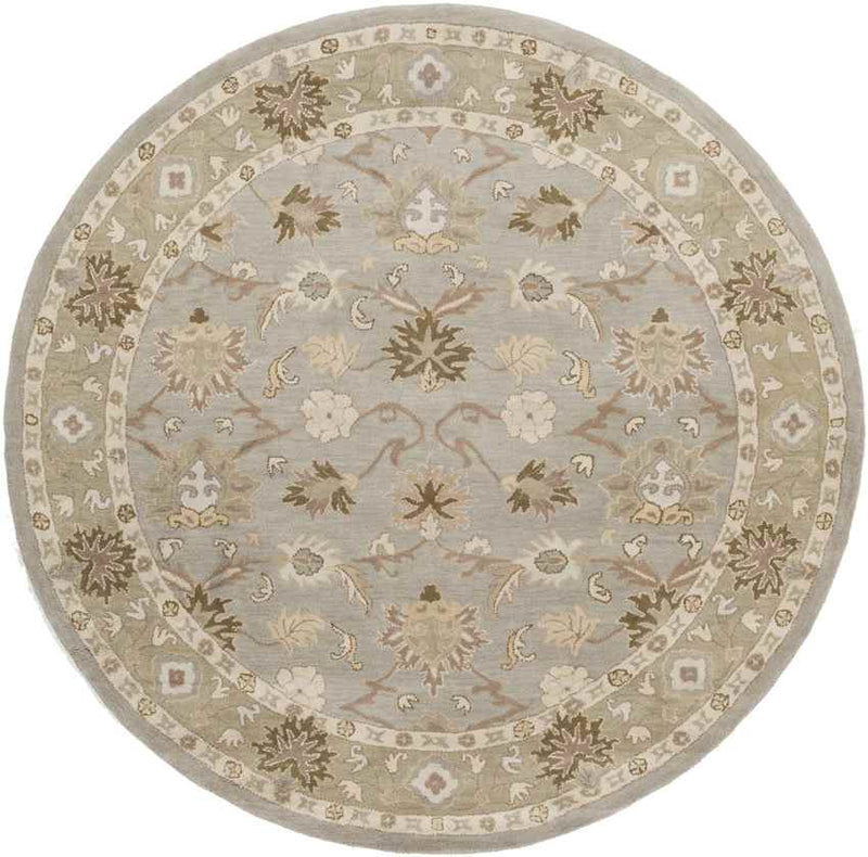 Didsbury Traditional Medium Gray Area Rug