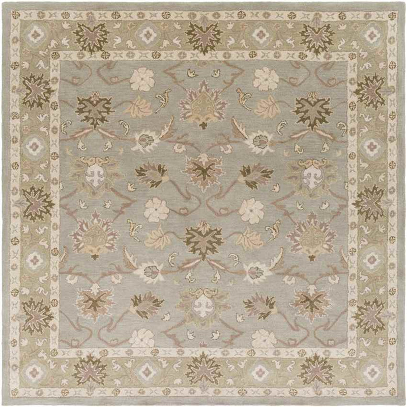 Didsbury Traditional Medium Gray Area Rug