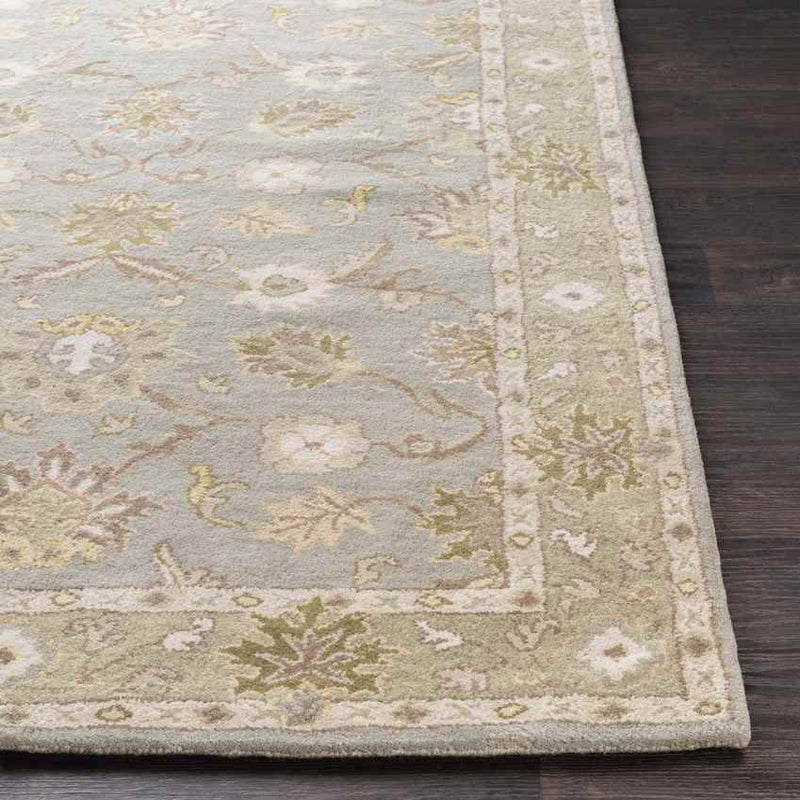 Didsbury Traditional Medium Gray Area Rug