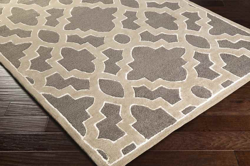 Aveyron Modern Medium Gray Area Rug