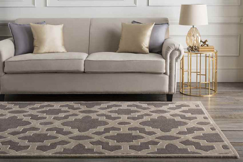 Aveyron Modern Medium Gray Area Rug