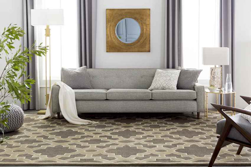 Aveyron Modern Medium Gray Area Rug