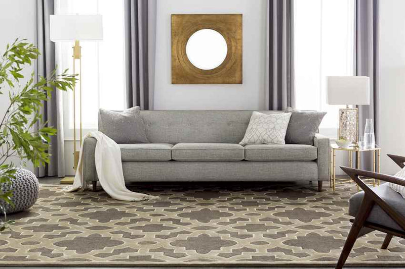 Aveyron Modern Medium Gray Area Rug