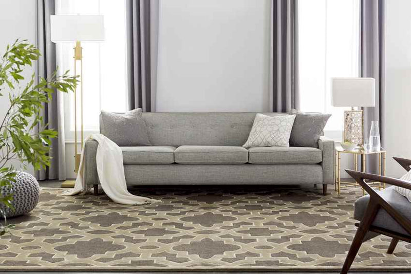 Aveyron Modern Medium Gray Area Rug