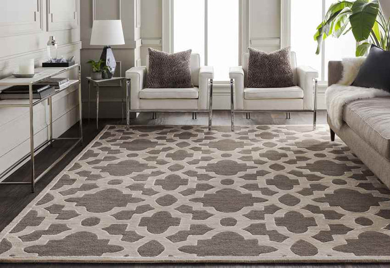 Aveyron Modern Medium Gray Area Rug