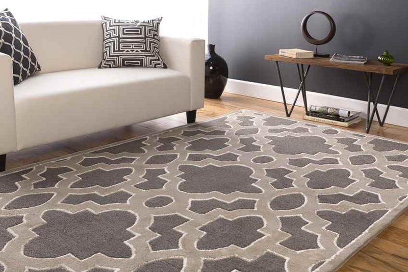 Aveyron Modern Medium Gray Area Rug