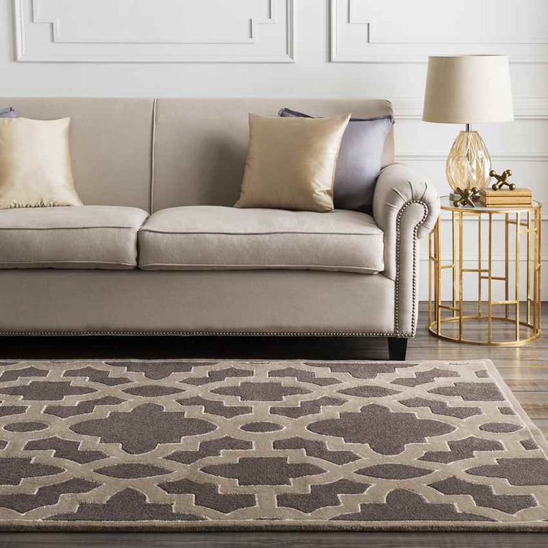 Aveyron Modern Medium Gray Area Rug