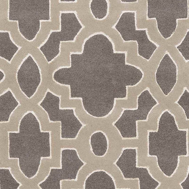 Aveyron Modern Medium Gray Area Rug