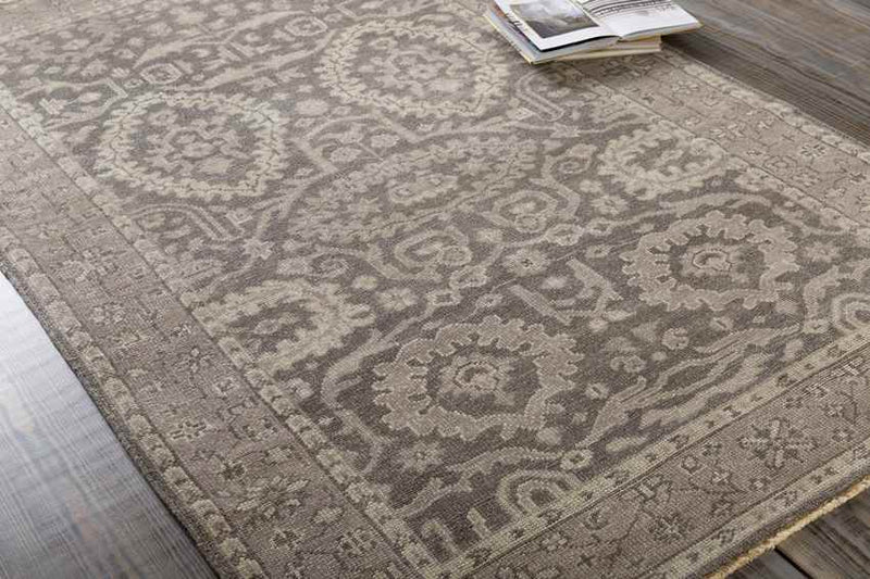 MacGregor Traditional Beige/Khaki Area Rug