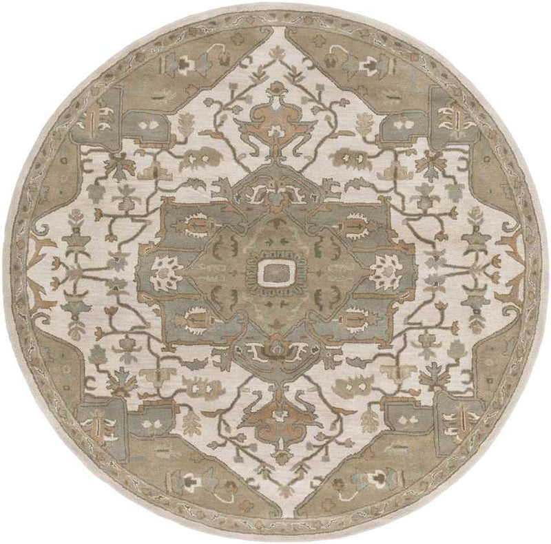 Roblin Traditional Khaki Area Rug