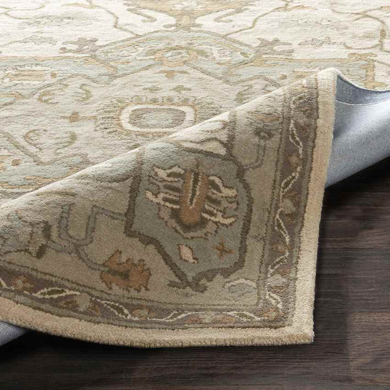 Roblin Traditional Khaki Area Rug