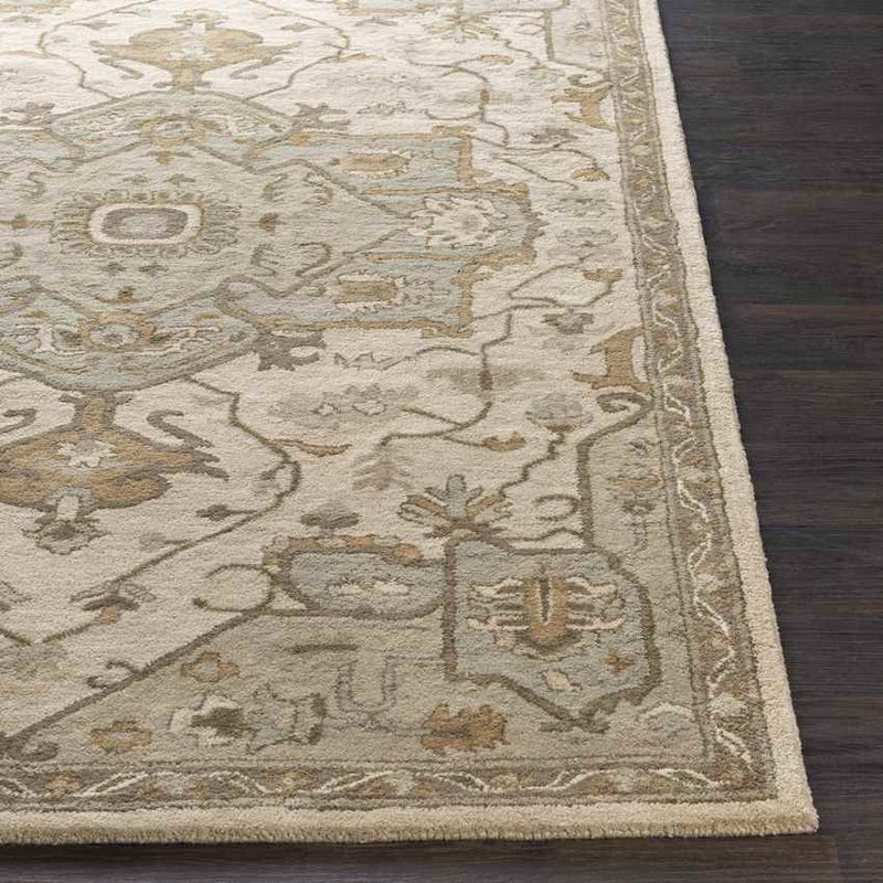 Roblin Traditional Khaki Area Rug