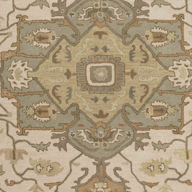 Roblin Traditional Khaki Area Rug