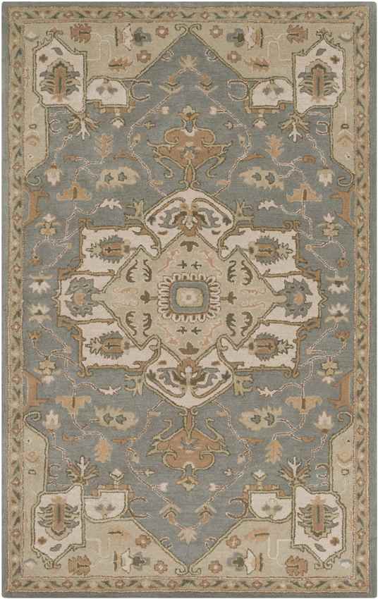 Roblin Traditional Medium Gray Area Rug